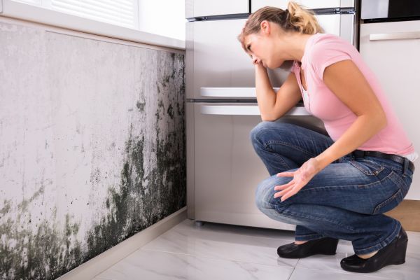 Home Mold Inspection