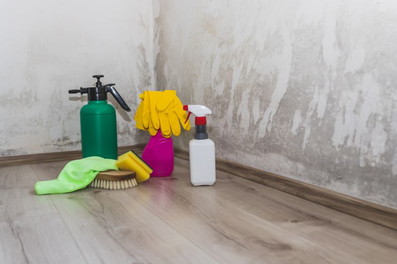 Mold Abatement Service detail