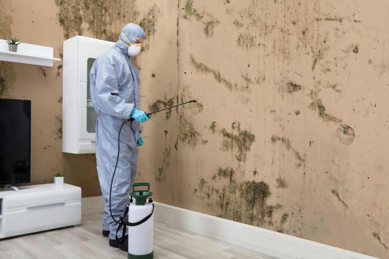 Mold Mitigation Service