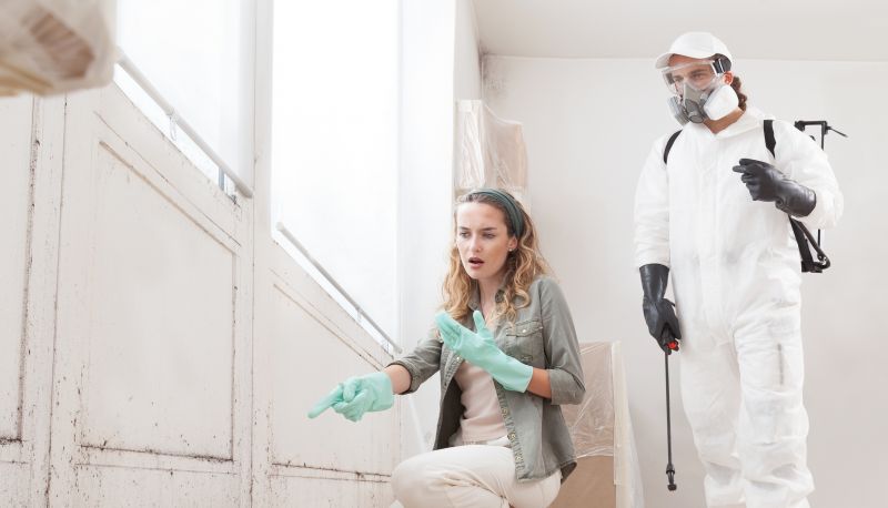 Mold Remediation Service